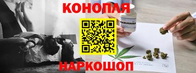 прущие грибы Мариинск