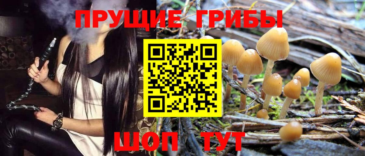 Галлюциногенные грибы MAGIC MUSHROOMS Учалы