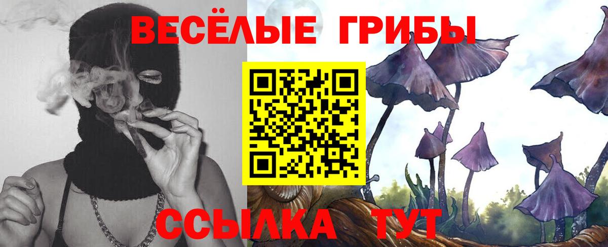 Учалы  Галлюциногенные грибы Psilocybe  Галлюциногенные грибы Psilocybe  Вход с VPN 